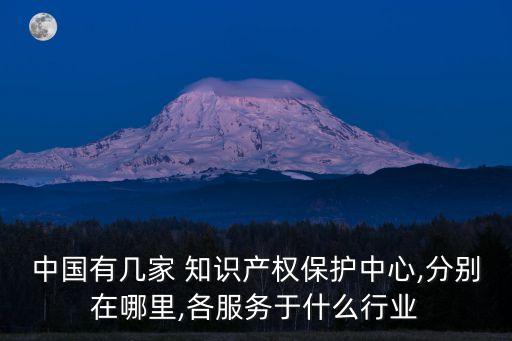 中國有幾家 知識產(chǎn)權(quán)保護(hù)中心,分別在哪里,各服務(wù)于什么行業(yè)
