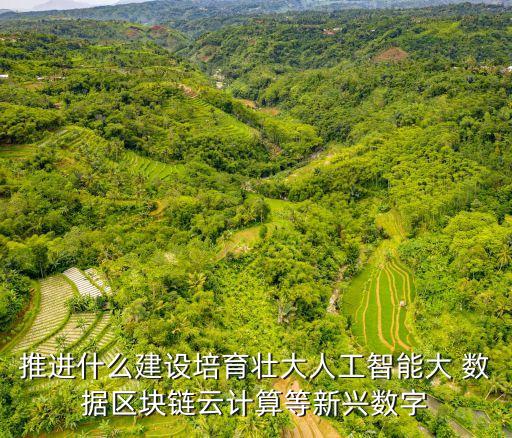 推進(jìn)什么建設(shè)培育壯大人工智能大 數(shù)據(jù)區(qū)塊鏈云計(jì)算等新興數(shù)字
