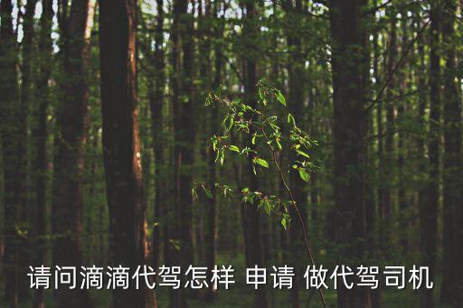 做代駕需要什么條件怎么申請(qǐng),在貴陽(yáng)做代駕需要什么條件怎么申請(qǐng)
