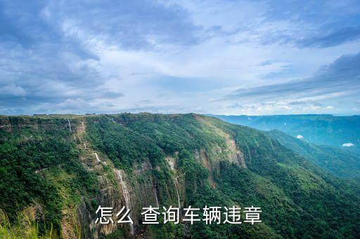 交通違章查詢