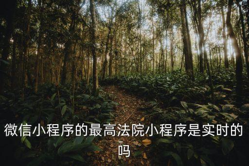 微信小程序的最高法院小程序是實(shí)時(shí)的嗎