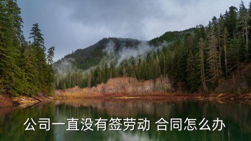 公司一直沒有簽勞動(dòng) 合同怎么辦