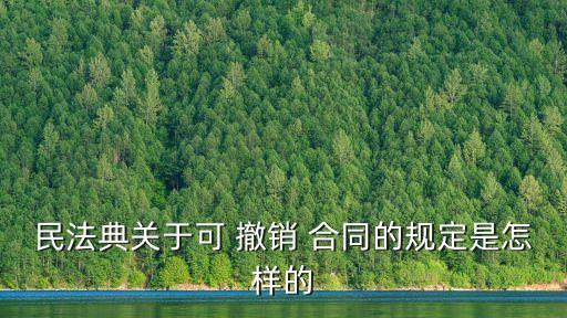民法典關(guān)于可 撤銷 合同的規(guī)定是怎樣的