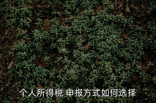 個(gè)人所得稅 申報(bào)方式如何選擇