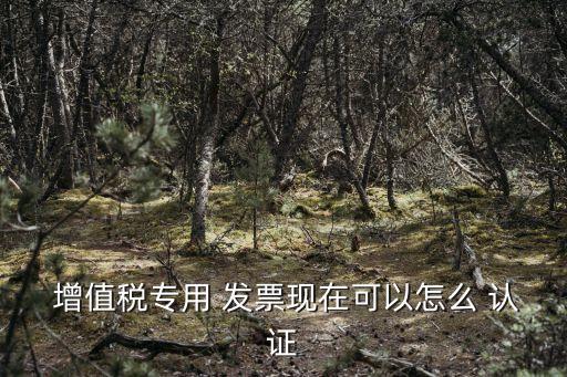 增值稅發(fā)票認(rèn)證