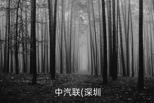 中汽聯(lián)