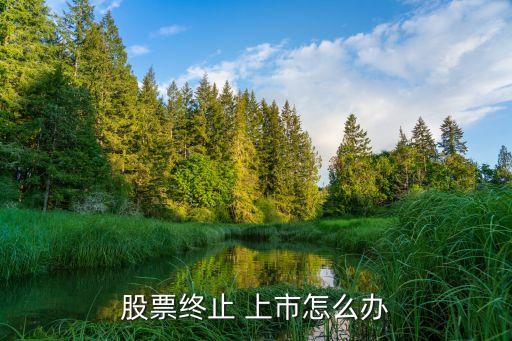 暫停上市,連續(xù)兩年非標(biāo)沒有被暫停上市