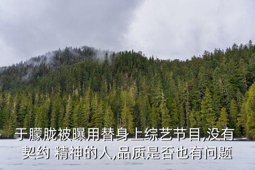 沒有契約精神的人什么意思
