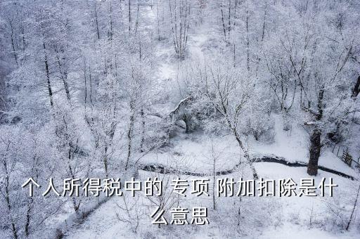 個(gè)人所得稅中的 專項(xiàng) 附加扣除是什么意思