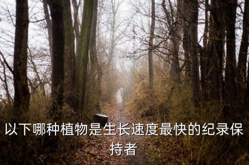 以下哪種植物是生長速度最快的紀錄保持者