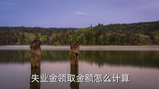  失業(yè)金領(lǐng)取金額怎么計(jì)算