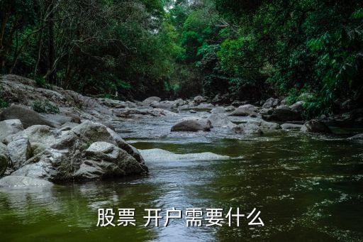 股票 開戶需要什么