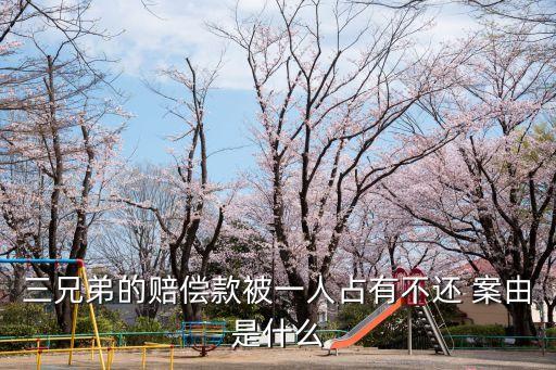 三兄弟的賠償款被一人占有不還 案由是什么