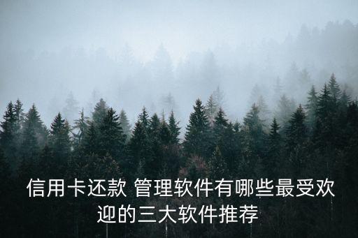  信用卡還款 管理軟件有哪些最受歡迎的三大軟件推薦