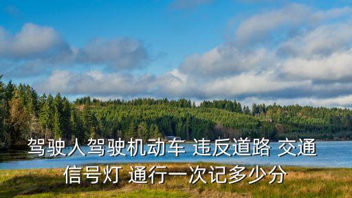 駕駛?cè)笋{駛機(jī)動(dòng)車 違反道路 交通 信號(hào)燈 通行一次記多少分