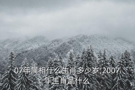 07年屬相什么生肖多少歲,2007年生肖是什么