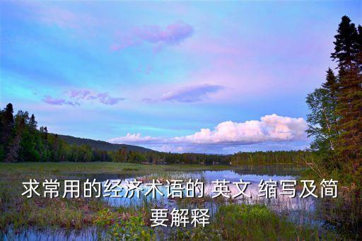 求常用的經(jīng)濟術(shù)語的 英文 縮寫及簡要解釋