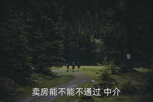 賣房能不能不通過 中介