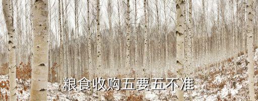 糧食收購(gòu)五要五不準(zhǔn)