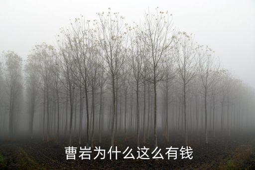 曹巖