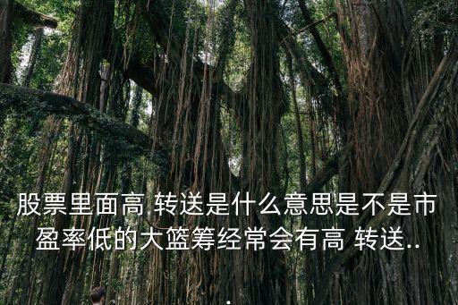 股票里面高 轉(zhuǎn)送是什么意思是不是市盈率低的大籃籌經(jīng)常會有高 轉(zhuǎn)送...