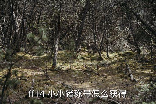ff14 小小豬稱號(hào)怎么獲得