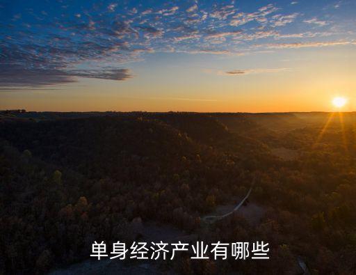 單身白領(lǐng)