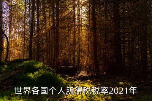 世界各國(guó)個(gè)人所得稅稅率2021年