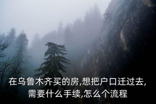 在烏魯木齊買的房,想把戶口遷過去,需要什么手續(xù),怎么個流程