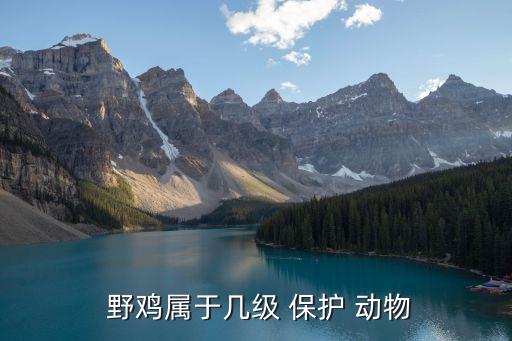  野雞屬于幾級(jí) 保護(hù) 動(dòng)物