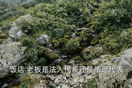  飯店 老板是法人代表還是法定代表人