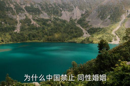 中國(guó)同性