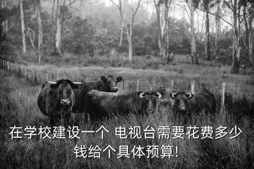在學(xué)校建設(shè)一個(gè) 電視臺需要花費(fèi)多少錢給個(gè)具體預(yù)算!