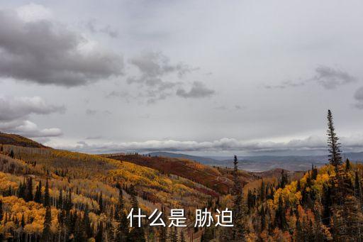 什么是 脅迫