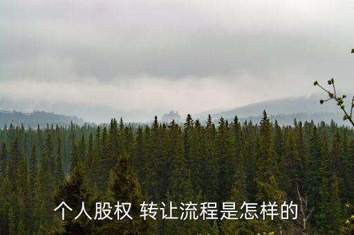 個(gè)人股份轉(zhuǎn)讓給個(gè)人