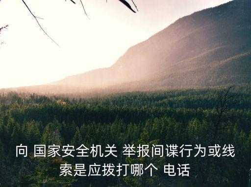 向 國家安全機關 舉報間諜行為或線索是應撥打哪個 電話