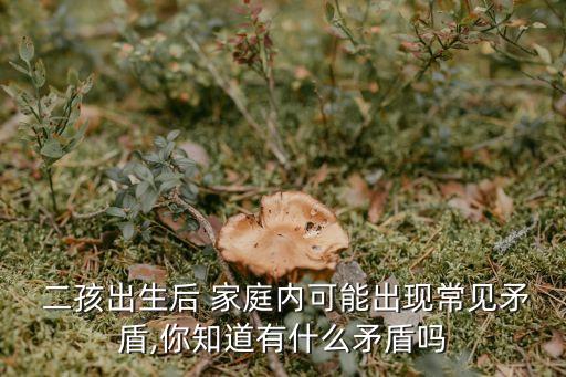 二孩家庭