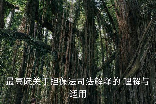 理解與適用,精神病鑒定不計入辦案期限的理解與適用