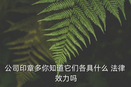 公司印章多你知道它們各具什么 法律 效力嗎