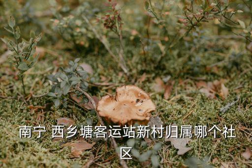 南寧西鄉(xiāng)塘