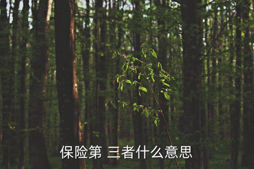 保險(xiǎn)第 三者什么意思