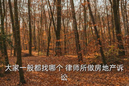 大家一般都找哪個(gè) 律師所做房地產(chǎn)訴訟