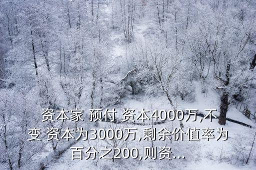 預(yù)付資本