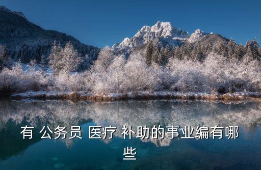 有 公務(wù)員 醫(yī)療 補(bǔ)助的事業(yè)編有哪些