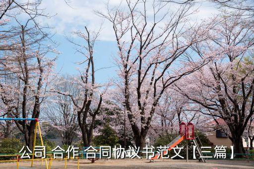 公司 合作 合同協(xié)議書范文【三篇】