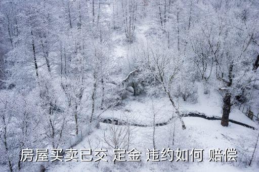 交了定金對方違約怎么賠償,交定金對方違約有什么責(zé)任