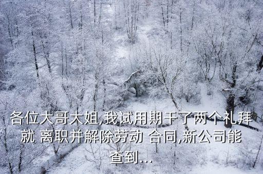 各位大哥大姐,我試用期干了兩個禮拜就 離職并解除勞動 合同,新公司能查到...
