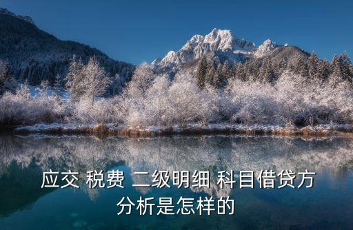 應(yīng)交稅費(fèi)的二級(jí)科目有哪些,應(yīng)交增值稅二級(jí)科目有哪些