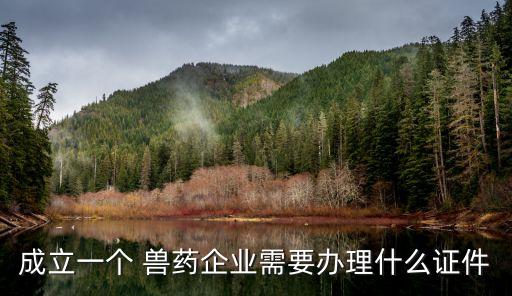 成立一個(gè) 獸藥企業(yè)需要辦理什么證件