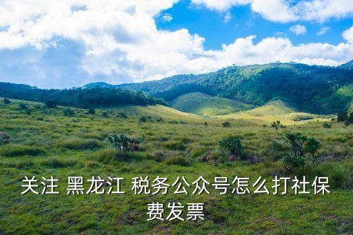 關(guān)注 黑龍江 稅務(wù)公眾號怎么打社保費發(fā)票
